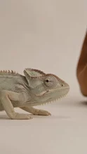 Viral leather bag hook ad, created with VideoGen