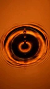 Perfume product ad, created with VideoGen